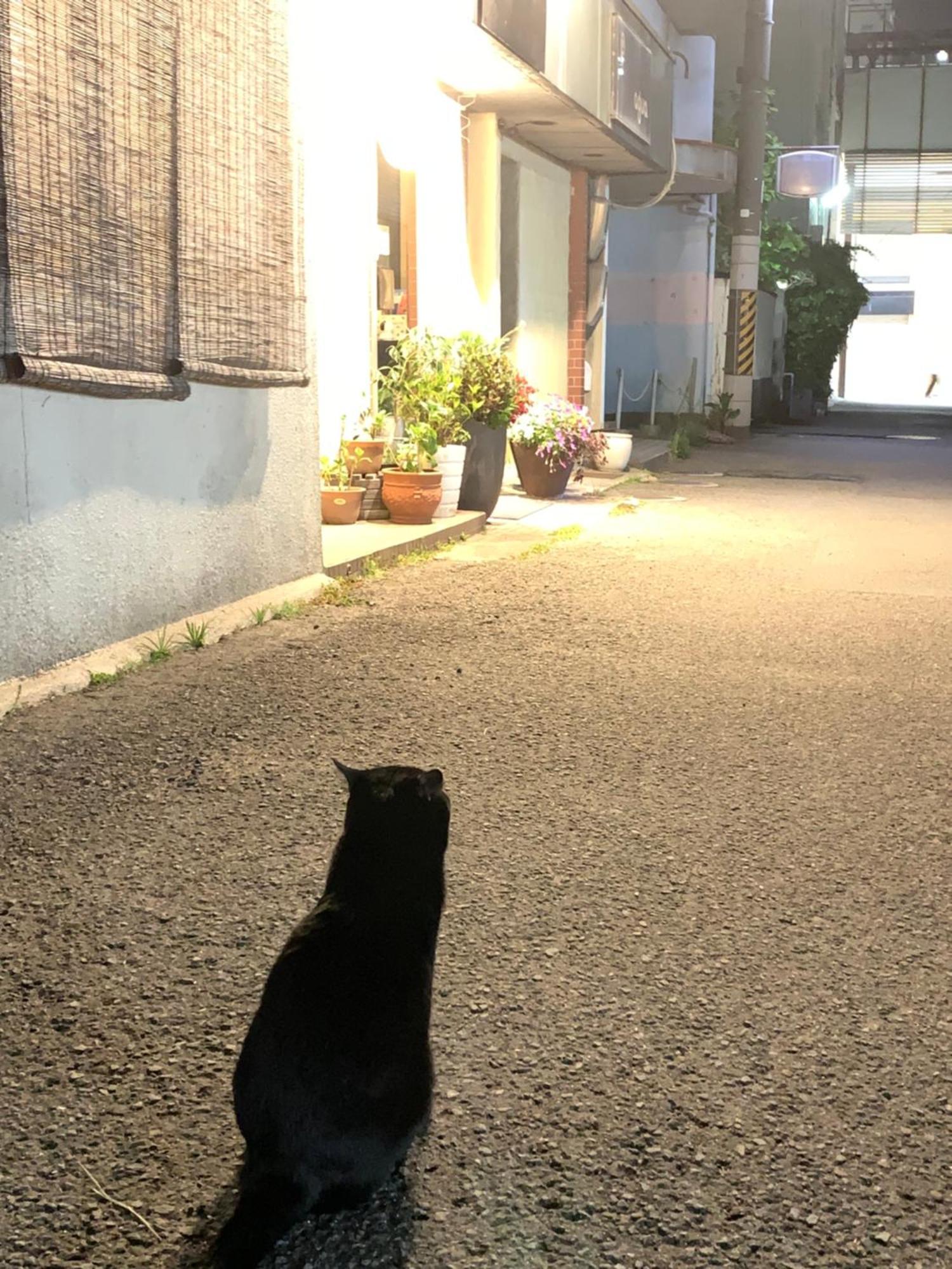 Tsukiji Hostel Wakayama 1 Luaran gambar